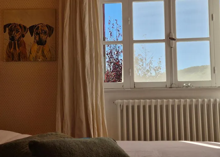 Maison La Vie De L'aubrac - Lo Bel Peis Appartement Saint-Symphorien-de-Thenieres