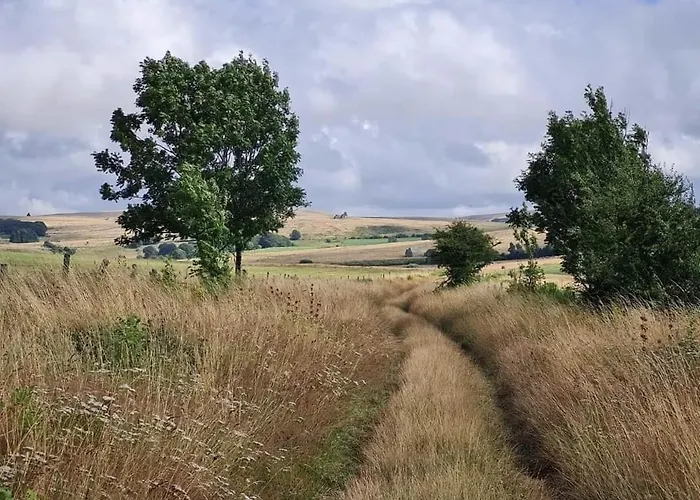 Appartement Maison La Vie De L'aubrac - Lo Bel Peis *