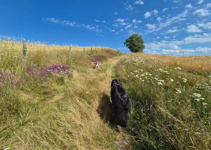 Appartement Maison La Vie De L'aubrac - Lo Bel Peis *