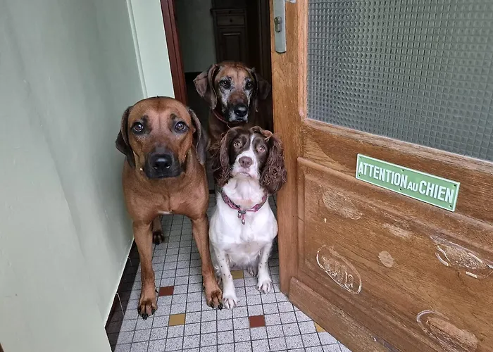 Appartement Maison La Vie De L'aubrac - Lo Bel Peis Saint-Symphorien-de-Thenieres